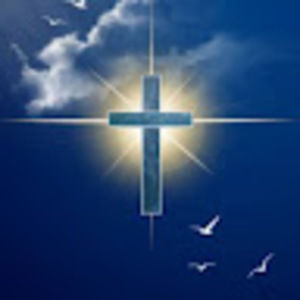 Meet your Posher, Debbie & doug